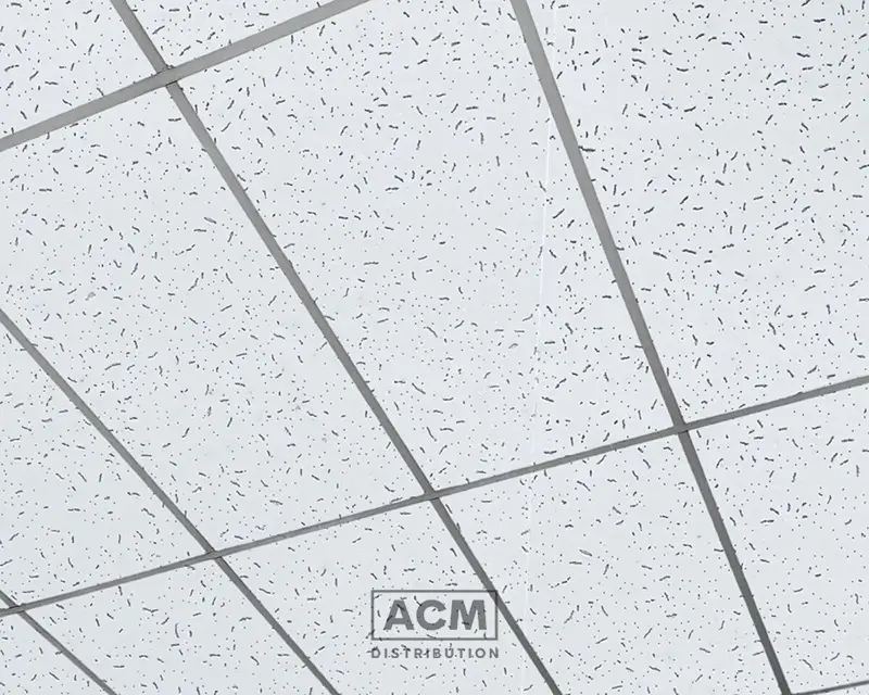 Acoustic Ceiling Tiles